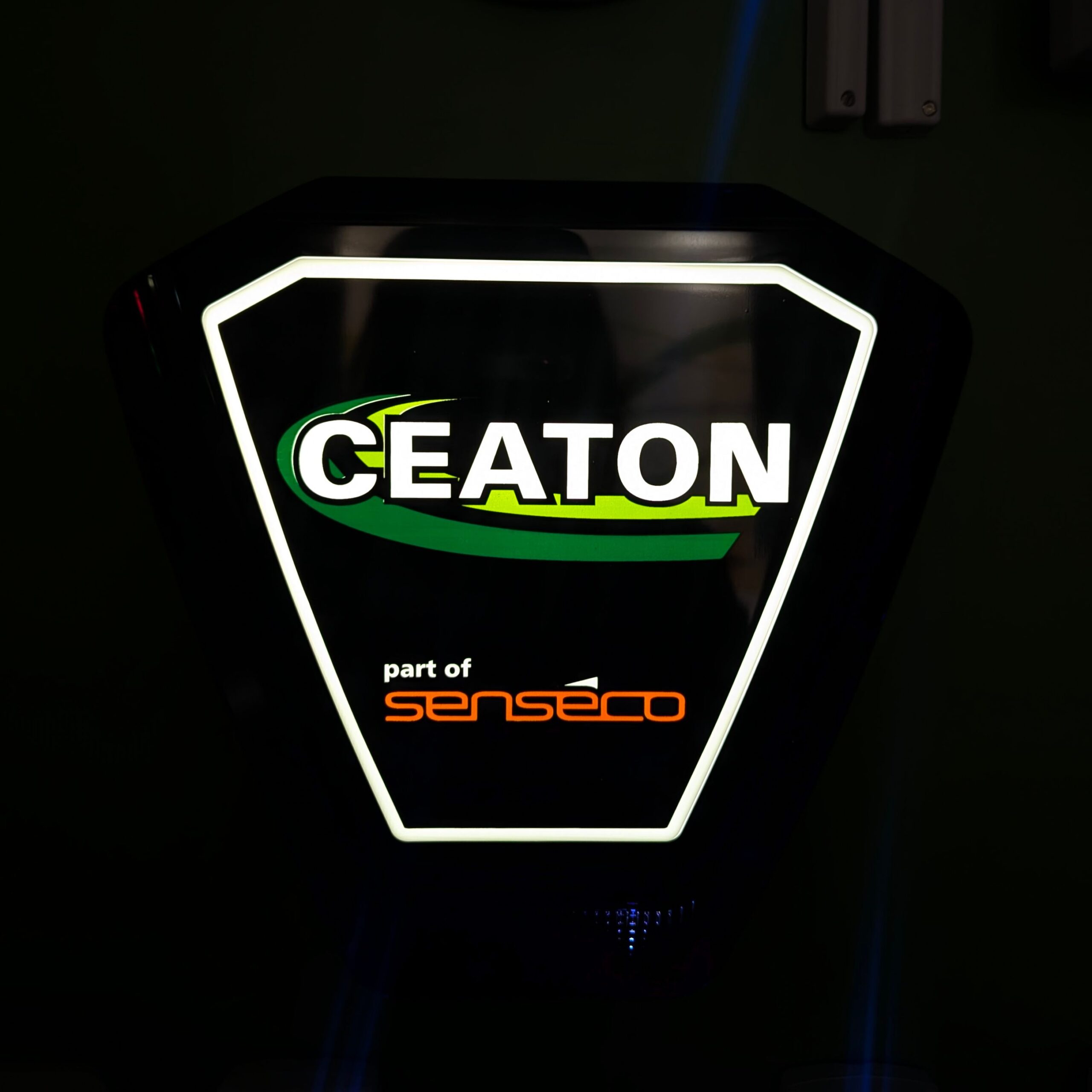 Ceaton Security Systems Ltd logo