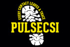 Pulse CSI (Pulse Education and Business Services Limited)