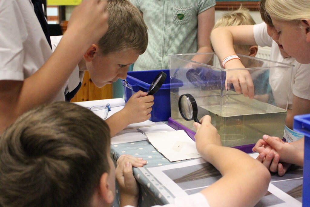 ©Colchester Zoo (2)