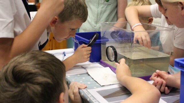 ©Colchester Zoo (2)