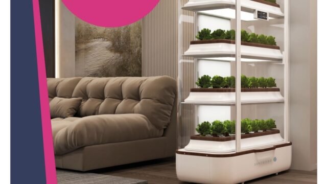 Screenshot_20250801_110319_Files-by-Google-2