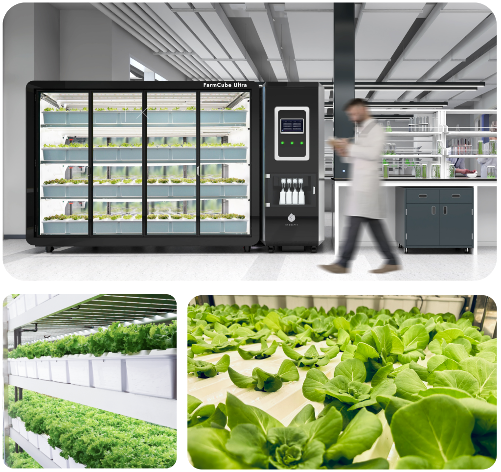 Untitled-2672-x-2500-px-1-1024×964-3