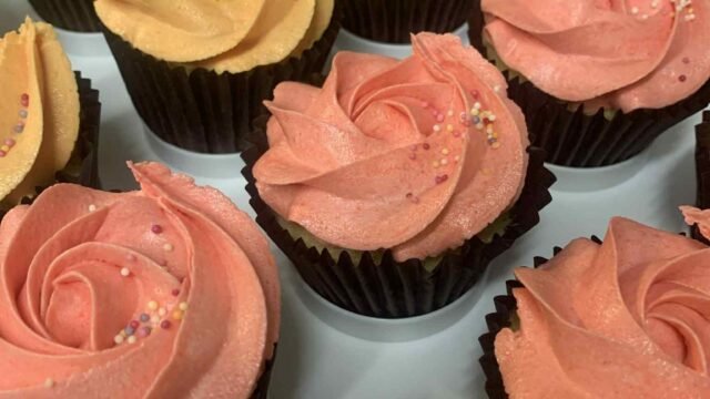 8ded0580-e04c-420c-ab2b-a09b936524d3