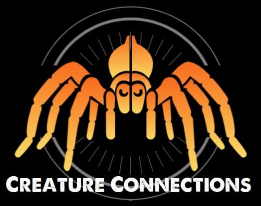 creatureconnectionslogo