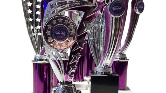 south-yorkshire-swans