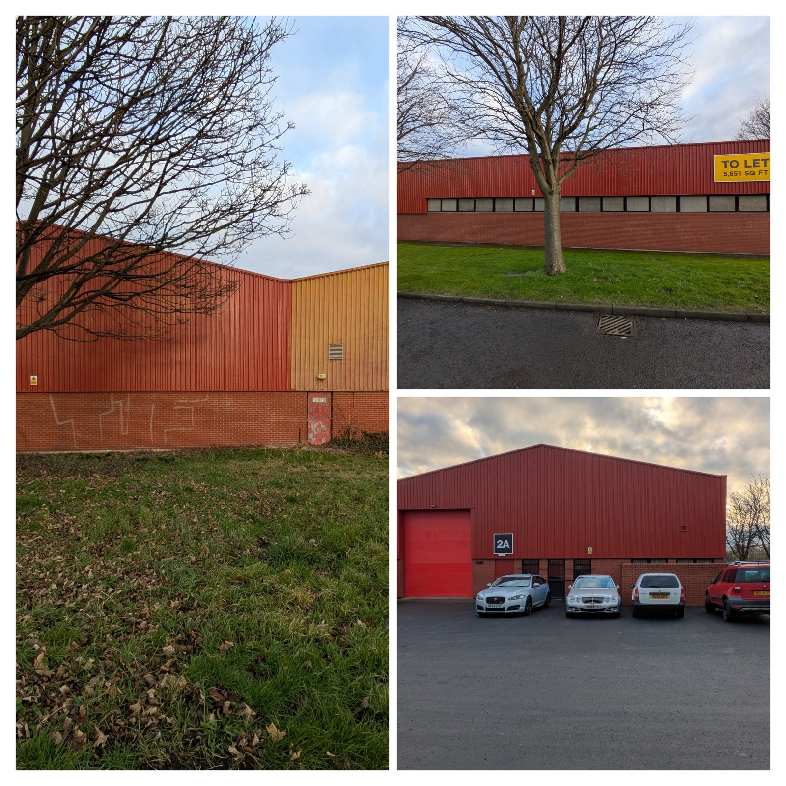 20250127_125615-COLLAGE