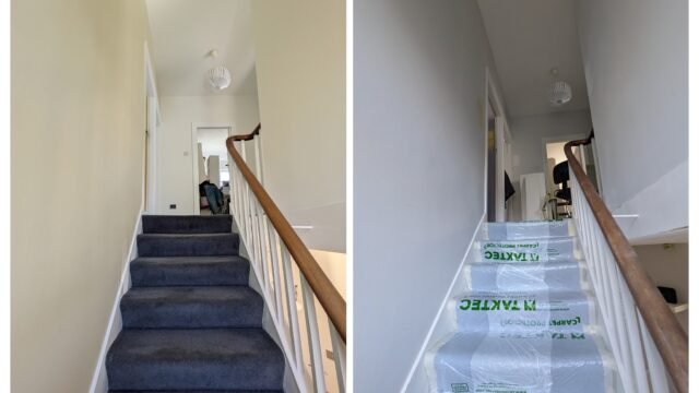 PXL_20250328_095708177.MP-COLLAGE