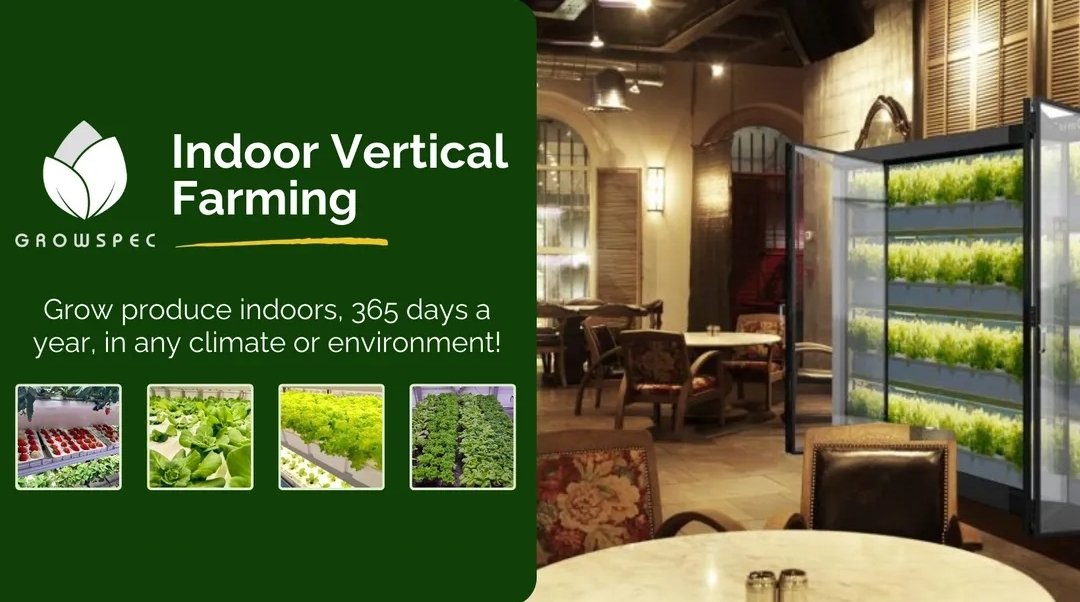 Screenshot_20251010_224246_Facebook