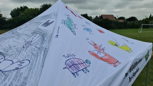 printed_school_gazebo-1