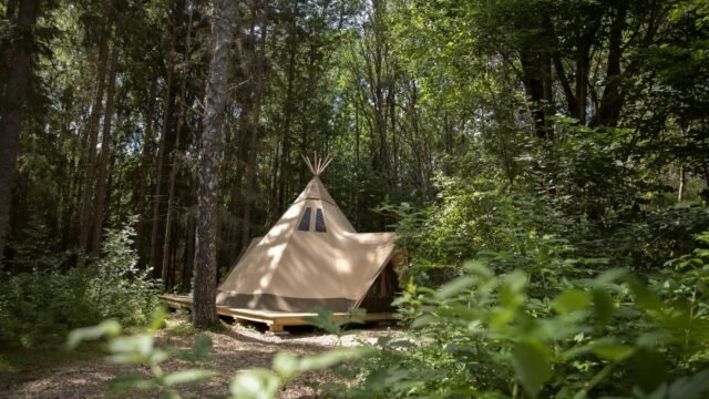 aurum-woodland-platform