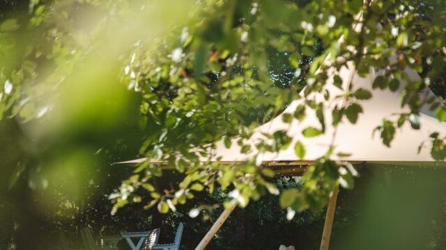 nimbus-23-garden-dreamy